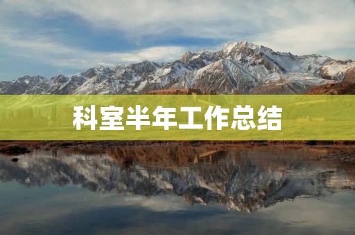 科室半年工作总结:提升团队协作,推进医疗质量提升