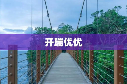 开瑞优优:一款性价比极高的小型家用车 开瑞优优:一款性价比极高的小型家用车