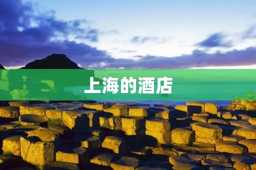 上海的酒店:探寻城市文化的住宿选择