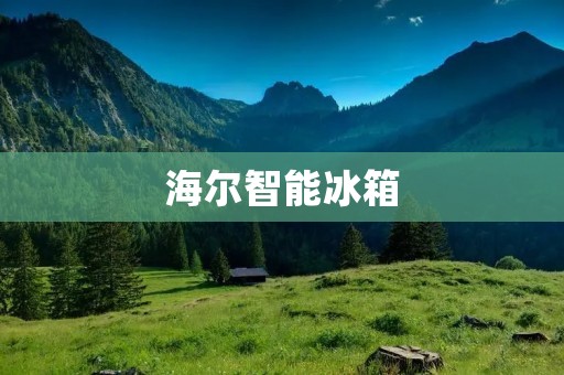 海尔智能冰箱:智能科技改变生活 海尔智能冰箱:智能科技改变生活