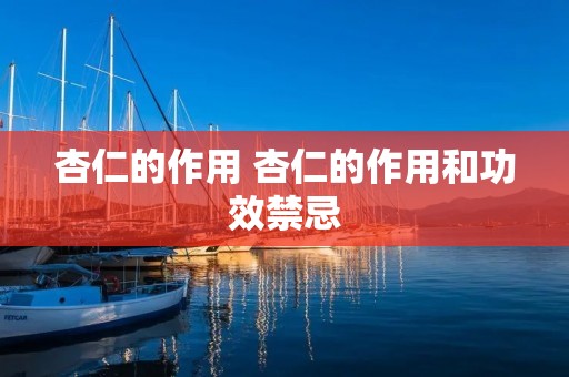 杏仁的作用 杏仁的作用和功效禁忌