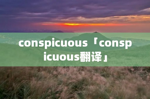 conspicuous「conspicuous翻译」