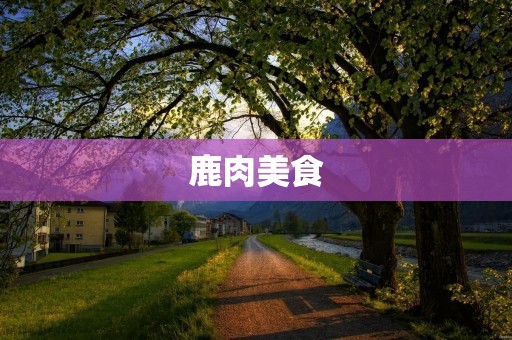 鹿肉美食：多种烹饪方法，让你吃出不一样的鲜美