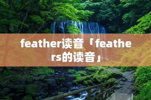 feather读音「feathers的读音」
