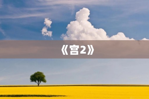 《宫2》:恩怨情仇再续 《宫2》:恩怨情仇再续
