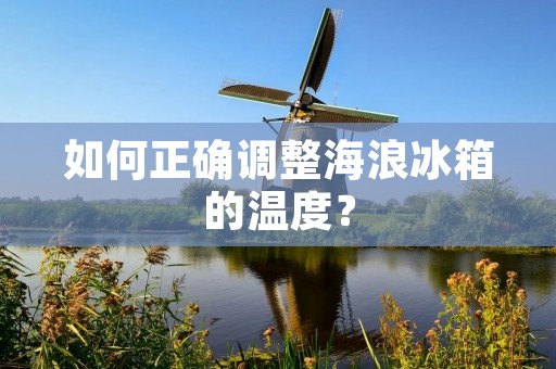 如何正确调整海浪冰箱的温度? 如何正确调整海浪冰箱的温度?