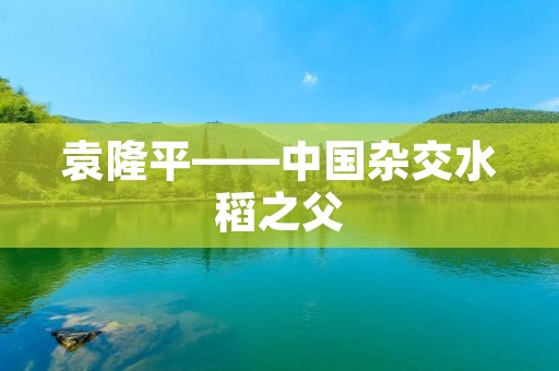 袁隆平——中国杂交水稻之父