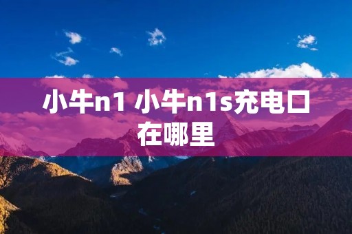 小牛n1 小牛n1s充电口在哪里 小牛n1 小牛n1s充电口在哪里