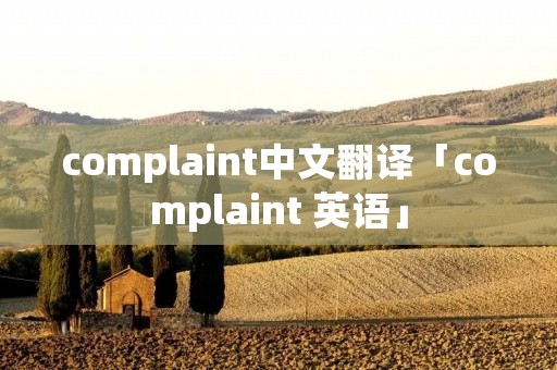 complaint中文翻译「complaint 英语」
