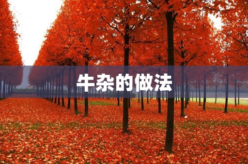 牛杂的做法：怎样做出口感鲜美的牛杂？