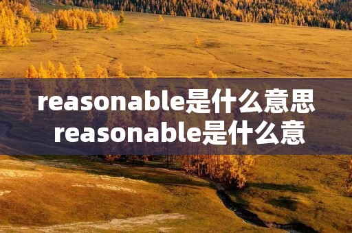 reasonable是什么意思 reasonable是什么意思翻译成中文