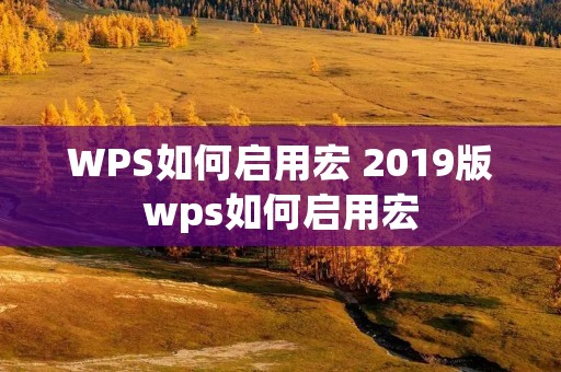 WPS如何启用宏 2019版wps如何启用宏