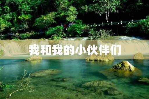 我和我的小伙伴们 我和我的小伙伴们