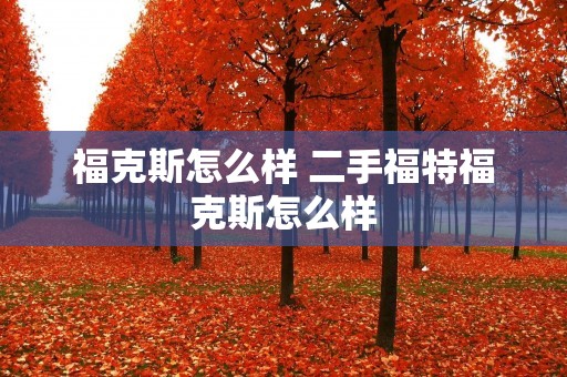 福克斯怎么样 二手福特福克斯怎么样