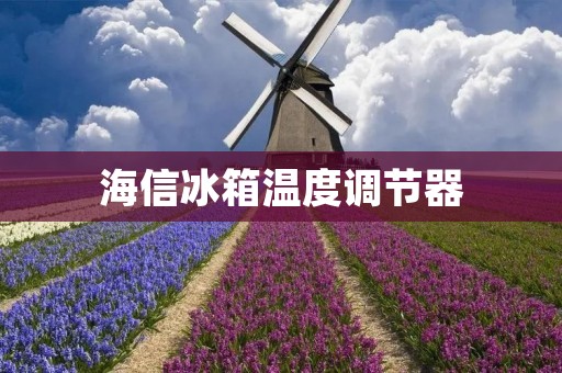 海信冰箱温度调节器：让你的食物保持最佳状态