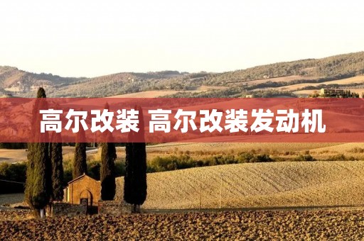 高尔改装 高尔改装发动机