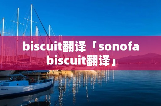 biscuit翻译「sonofabiscuit翻译」