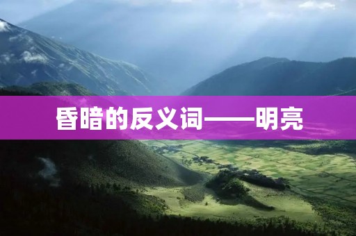 昏暗的反义词——明亮