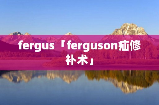 fergus「ferguson疝修补术」
