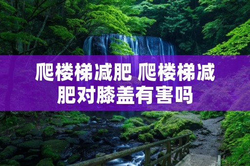 爬楼梯减肥 爬楼梯减肥对膝盖有害吗 爬楼梯减肥 爬楼梯减肥对膝盖有害吗