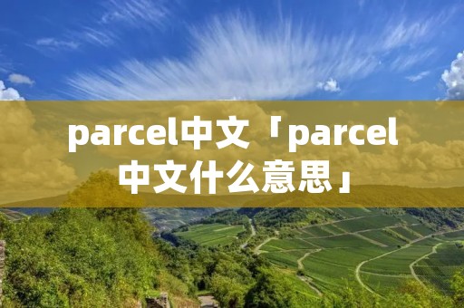 parcel中文「parcel中文什么意思」 parcel中文「parcel中文什么意思」