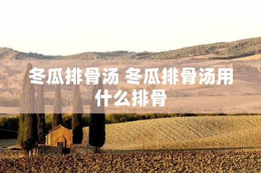 冬瓜排骨汤 冬瓜排骨汤用什么排骨 冬瓜排骨汤 冬瓜排骨汤用什么排骨