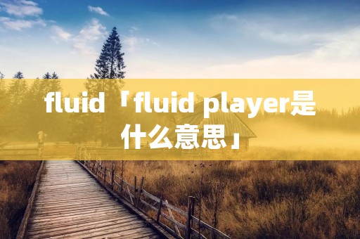 fluid「fluid player是什么意思」