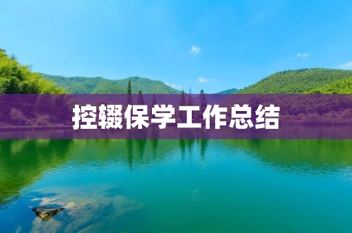 控辍保学工作总结:加强管理,促进教育