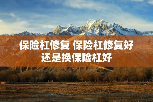 保险杠修复 保险杠修复好还是换保险杠好