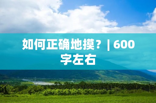 如何正确地摸？| 600字左右