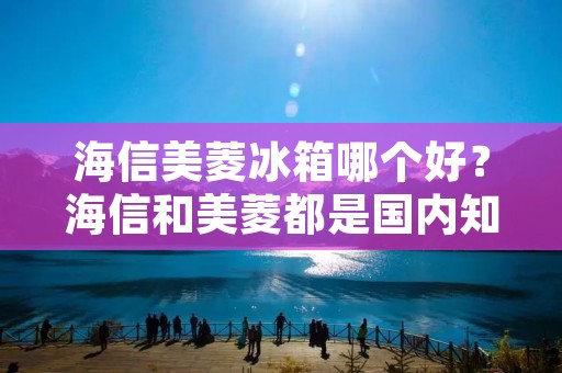 海信美菱冰箱哪个好？海信和美菱都是国内知名的家电品牌，而冰箱作为家庭必备的电器之一，其性能、功能和价格都是家庭购买冰箱时需要考虑的因素。那么，海信美菱冰箱哪个好呢？下面从品牌、性能、功能和价格四个方面进行详细比较。