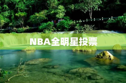 NBA全明星投票：球迷决定全明星阵容