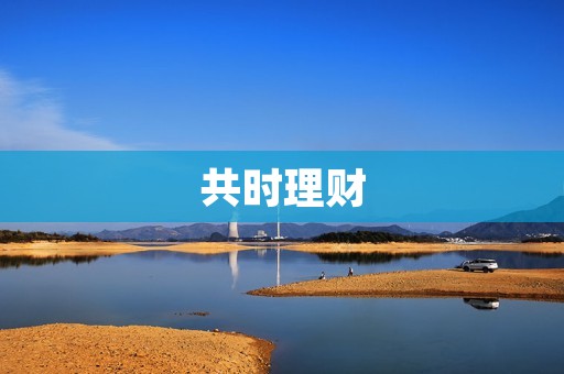 共时理财:让你的钱更聪明地工作 共时理财:让你的钱更聪明地工作