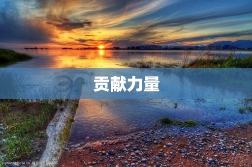 贡献力量:大学生社会实践的意义与价值 贡献力量:大学生社会实践的意义与价值