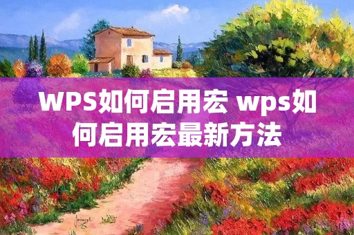 WPS如何启用宏 wps如何启用宏最新方法