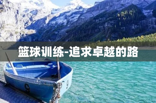 篮球训练-追求卓越的路