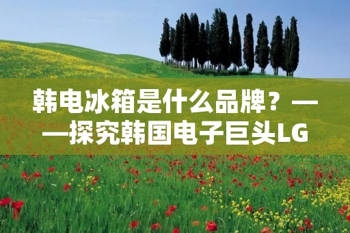 韩电冰箱是什么品牌?——探究韩国电子巨头LG电子旗下的高端冰箱品牌 韩电冰箱是什么品牌?——探究韩国电子巨头LG电子旗下的高端冰箱品牌
