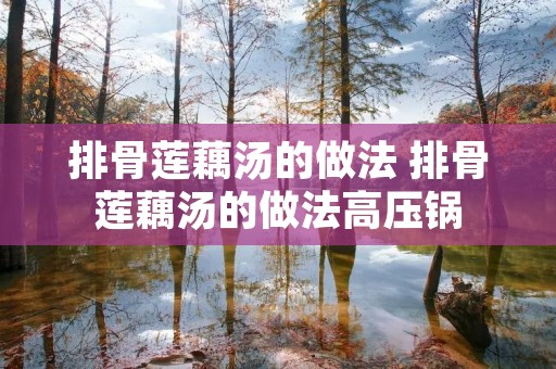 排骨莲藕汤的做法 排骨莲藕汤的做法高压锅