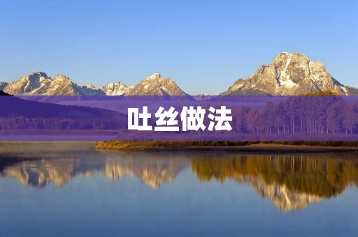 吐丝做法：让你轻松做出美味的吐司