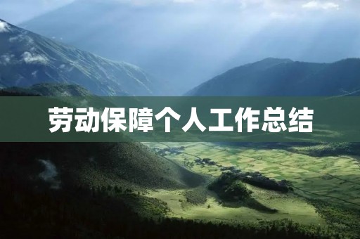 劳动保障个人工作总结
