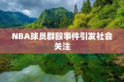 NBA球员群殴事件引发社会关注 NBA球员群殴事件引发社会关注
