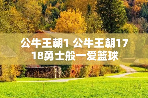 公牛王朝1 公牛王朝1718勇士般一爱篮球 公牛王朝1 公牛王朝1718勇士般一爱篮球