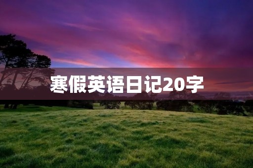 寒假英语日记20字
