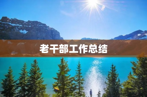 老干部工作总结:回顾与展望