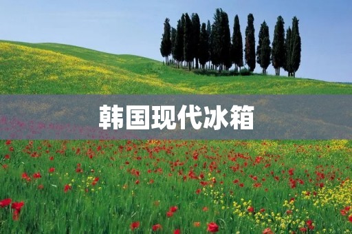 韩国现代冰箱:让你的生活更加便利 韩国现代冰箱:让你的生活更加便利