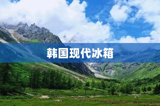 韩国现代冰箱:品质与技术的完美结合 韩国现代冰箱:品质与技术的完美结合