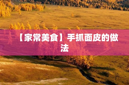 【家常美食】手抓面皮的做法