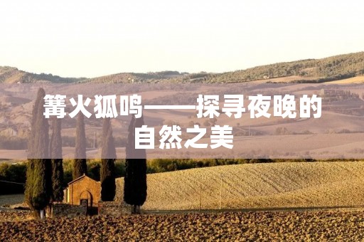 篝火狐鸣——探寻夜晚的自然之美 篝火狐鸣——探寻夜晚的自然之美