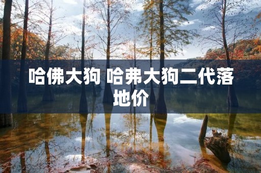 哈佛大狗 哈弗大狗二代落地价