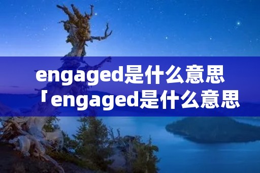 engaged是什么意思「engaged是什么意思怎么读」